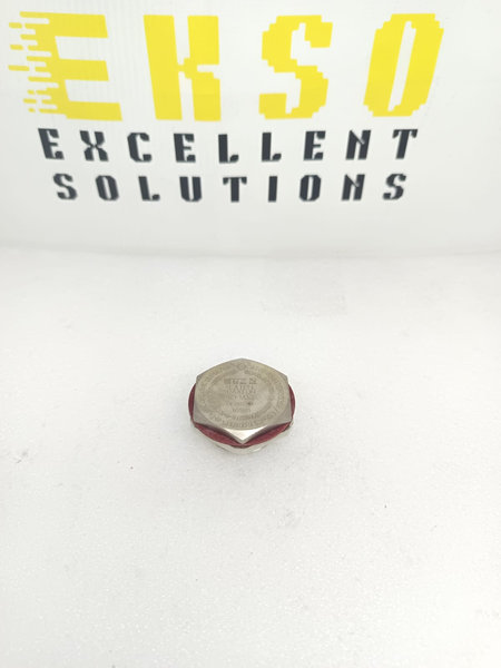 CYA1400YXN M32 HOLLOW HEAD PLUG BRASS NP EXDEXE